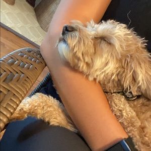 Meet your Posher, Michael lynne